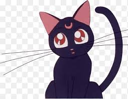 Find the best sailor moon luna wallpaper on getwallpapers. Sailor Moon Cat Png Images Pngegg