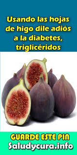 Usando Las Hojas De Higo Dile Adios A La Diabetes Trigliceridos Higo Diabetes Hojas De Higo Higos Remedio Para La Diabetes