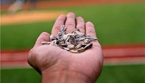 We did not find results for: Best Sunflower Seeds Top 9 Best Sunflower Seed Brands Flavors