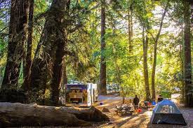 Redwood national and state parks (rnsp) is an unusual partnership of three california state parks and one national park. Rv Camping In Redwood National Park Cruise America