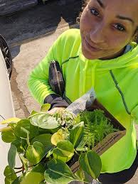 New plants to try in California