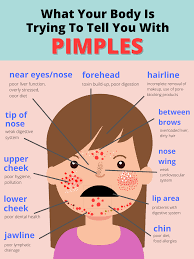 Pimple remover zu günstigen preisen. Acne And Health What Your Body Is Trying To Tell You With Pimples B For Bun Bun