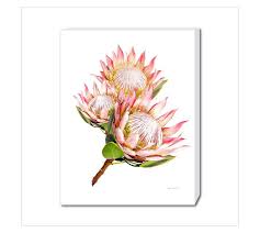Likewise it is best to plant proteas in an open position in slightly acid soil where the drainage is excellent. Three King Proteas Framed Prints Framed Prints Frames Wall Decor Home Decor Home Garden Makro Online Site