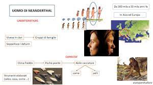 La storia dell'uomo sulla terra appare molto più complicata di quella studiata a scuola finora. Video Su Uomo Di Neanderthal Aiutoperstudiare