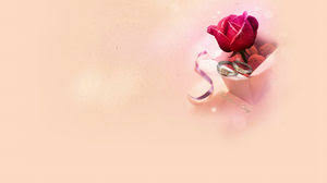 Mawar ditempatkan dalam, cinta romantis tema ppt template yang berb. Rose Powerpoint Download Gratis