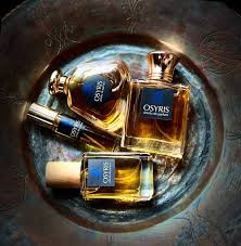 Image result for Osyris