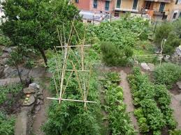 Italian Kitchen Gardens Vegetable Garden Design Kitchen Garden Edible Garden