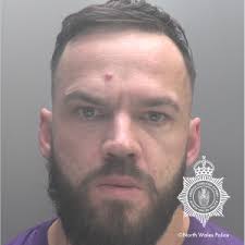 Swansea man disqualified from keeping animals after punching puppy to death 