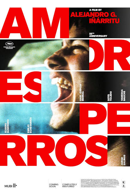 Amores Perros