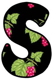 Buchstabe Letter S Harf