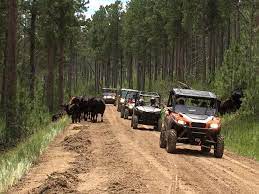 Best Atv Utv Trails In The Black Hills Of South Dakota South Dakota Vacation South Dakota Travel Atv Riding
