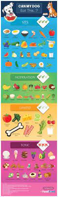 Can Dogs Eat This Foods You Can And Can T Share With Your Dog Dog Eating Can Dogs Eat Foods Dogs Can Eat