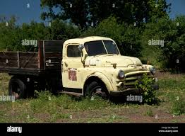 Image result for Dodge Truck Orange 1950 Fleet