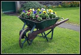 Maybe you would like to learn more about one of these? Old Wheelbarrow Wheelbarrow Garden Wheelbarrow Wheelbarrow Planter
