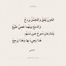 شعر المتنبي الحزن يقلق والتجمل يردع عالم الأدب Words Math Math Equations