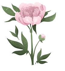 Check spelling or type a new query. Flower Pattern Design On Behance
