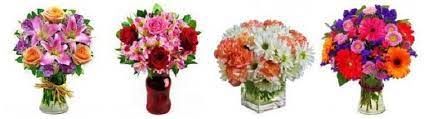 We are an albany florist for sending flowers, plants and gifts. The 8 Best Options For Flower Delivery In Rapid City San Diego 2021