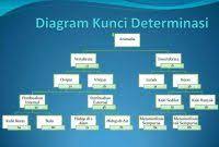 We did not find results for: Kunci Determinasi Tumbuhan Jagung