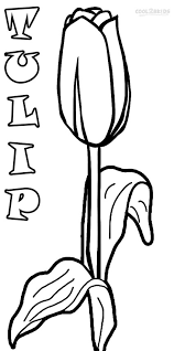 Coloring fans, gardeners, and flower lovers, will find this tulip coloring page a treat. Printable Tulip Coloring Pages For Kids