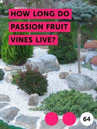 Compact soil rarely has enough pore spaces to accommodate these. How To Plant Grass Seed On Hard Dirt Arxiusarquitectura