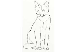 Then we add the face, ears and tail, which will make our ovals. How To Draw A Cat Front View Sitting Front View And Side View