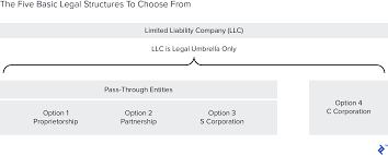 Maybe you would like to learn more about one of these? C Corp Vs S Corp Partnership Proprietorship And Llc Toptal