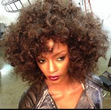 Big Natural Hair By Salon Pk Jacksonville Florida Big Natural Hair Natural Hair Styles Hair Care