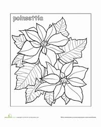 Pypus is now on the social networks, follow him and get latest free coloring pages and much more. Poinsettia Coloring Sheet Coloring Pages Flower Doodles Nature Kids