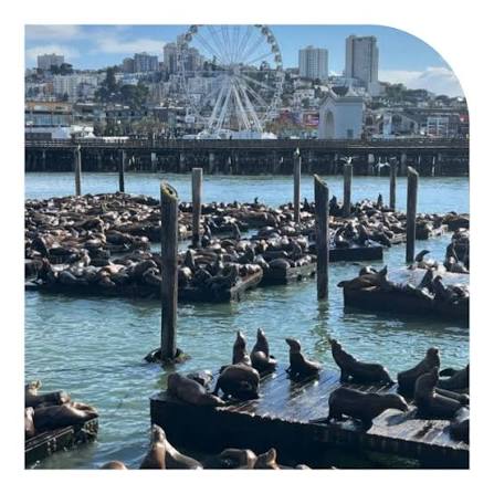 Perfect Day in Fisherman's Wharf | SF.gov