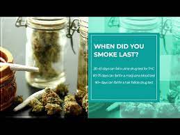 Hair follicle test is often used in corporate cyclers and can track the marijuana in your body up to 90 days. How Long Does Marijuana Stay In Your System The Recovery Village Drug And Alcohol Rehab