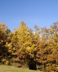 Și totodată, este ultima zi din acest an când se mai mănâncă ouă roșii. Septembrie 2021 Calendar Ortodox