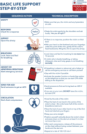Performing a visual survey to assess for safety, formulate an initial impression of the patient and determine the need for additional resources. European Resuscitation Council Guidelines 2021 Basic Life Support Resuscitation