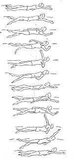 Finally, perform the full backstroke start, adding the arms back into the equation. Backstroke Half Bucket Of Wisdom