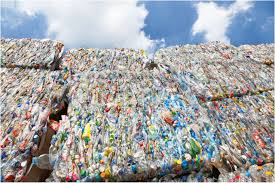 Anabolic processes build complex molecules out of simpler ones and require energy. News Feature On The Brink Of A Recycling Revolution Pnas
