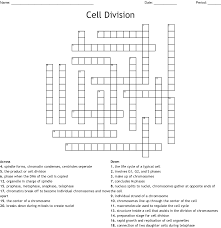 Is understanding the p53 gene the key to kicking cancer? Cell Division Crossword Wordmint