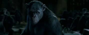 Planet der affen die letzte front planet of the apes: Rocket Planet Of The Apes Dawn Of The Planet Skull Island
