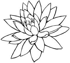 Lotus Flower Line Drawing Cliparts Co Flower Sketches Flower Line Drawings Lotus Flower Drawing