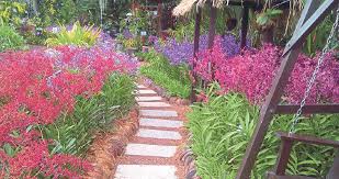 Singgahlah di nurseri orkid berdekatan dan mintalah baja organik jenis mikrob. Orkid Kekal Berseri Sepanjang Masa