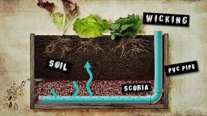 Maybe you would like to learn more about one of these? Building A Wicking Bed Fact Sheets Gardening Australia Gardening Australia