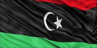 Ppp link control protocol (lcp) and internet protocol control protocol (ipcp) codes. Ppp Establishes Committee For Public Contact Campaign