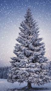 To find the desktop and tablet versions #mobilewallpaper #phonebackgrounds#phonewallpaper. Christmas Tree Mobile Wallpapers