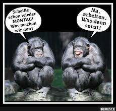 Schon Wieder Montag Was Machen Wir Nun Lustige Bilder Spruche Witze Echt Lustig Vatertag Witze Lustige Affen Freitag Spruche Lustig