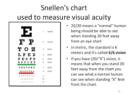 20 Scientific Mini Snellen Chart