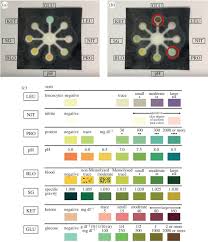 Siemens Multistix Color Chart Bahangit Co