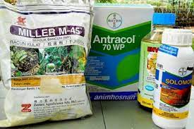 Serangga perosak dan cara mengatasinyaподробнее. Anim Agro Technology Racun Makhluk Perosak Apa Dia