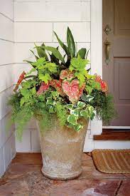 14 plants that thrive even when temperatures rise. Heat Tolerant Container Gardens For Sweltering Summers Container Gardening Flowers Container Gardening Porch Plants