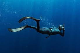 In this spearfishing compilation i will be #spearfishing black bream, pollack and the most prized fish of all. Spearfishing Things A Beginner Should Know
