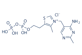 Thiamine is used to treat or prevent vitamin b1 deficiency. Thiamine Pyrophosphate Hydrochloride 99 Hplc Selleck Vitamin Chemical