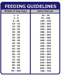 Dog Feeding Guidelines Goldenacresdogs Com