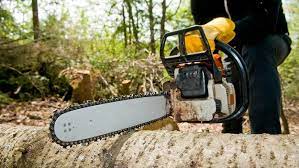 Tree Removal Costs How Much To Cut Down A Tree